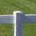 t2